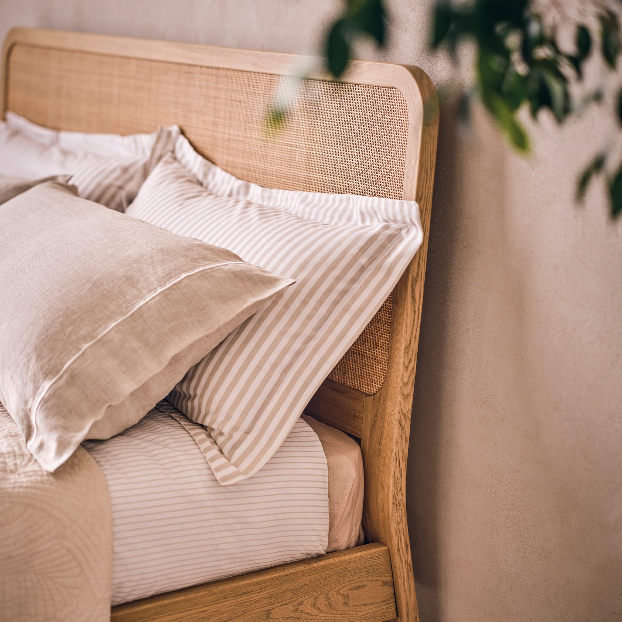 Casera Bed - Image 5